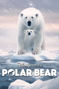 خرس قطبی Poster