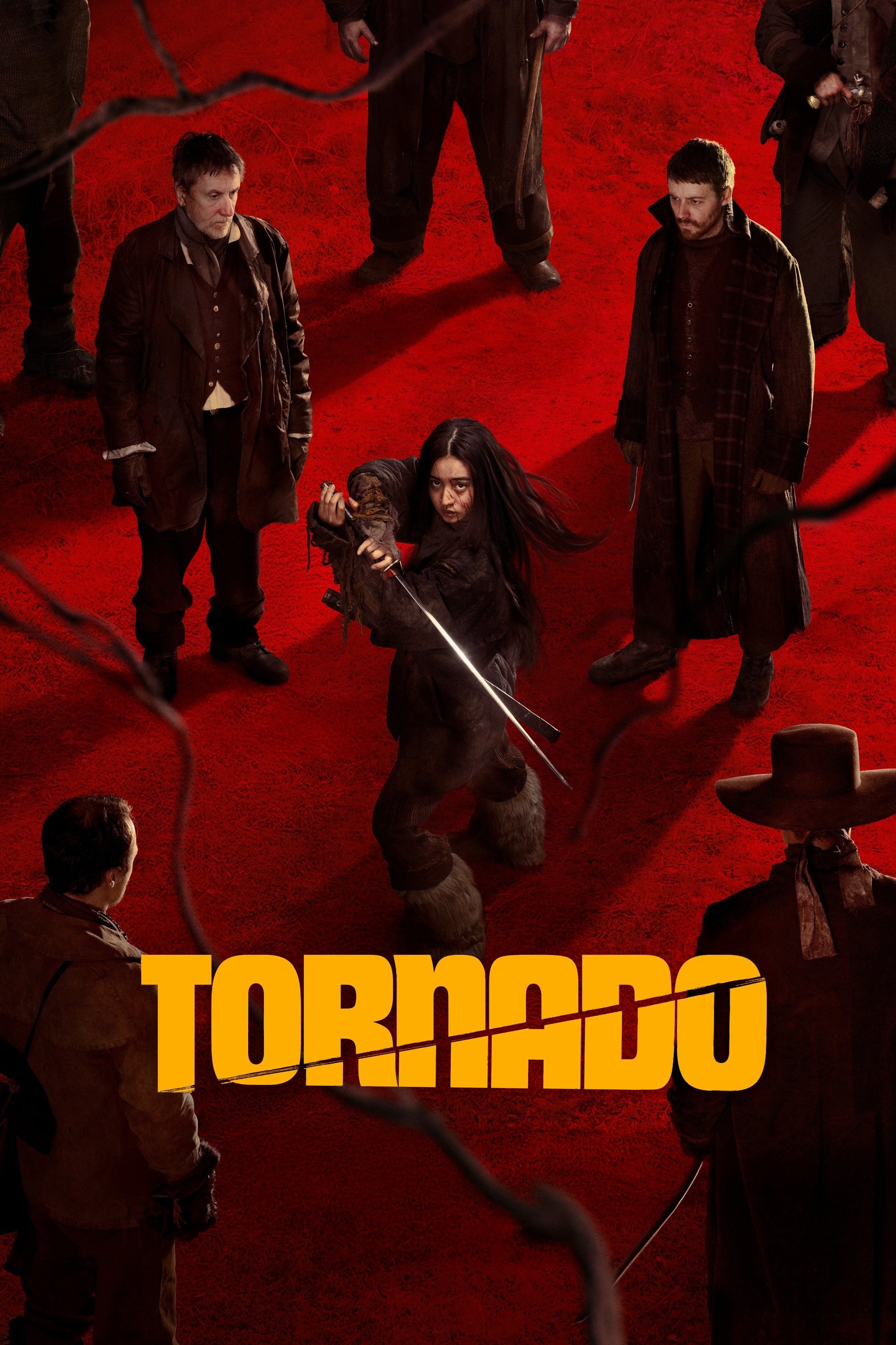تورنادو Poster