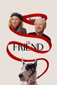 دوست Poster