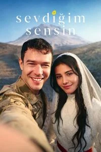 تو کسی هستی که دوستش دارم Poster
